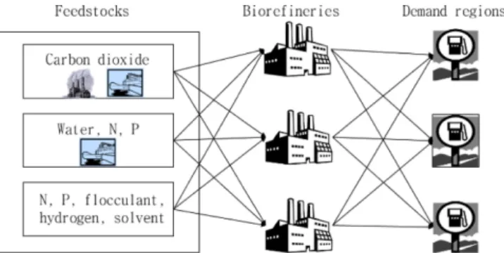 Fig. 1. Simplified diagram of biodiesel supply chain network.