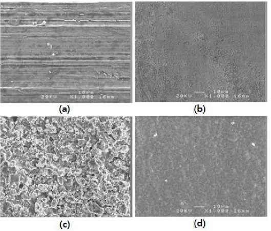 Fig.  1.  Top  surfaces  of  four  specimens  before  erosion  tests;  uncoated  (a),  boride  coated  (b),  Cr-carbide  coated  (c)  and  V-boride  coated  (d)  specimens.