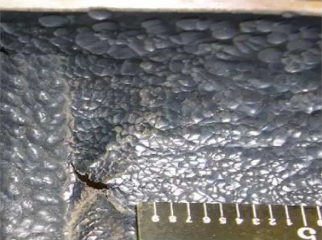 Fig.  1.  Damaged  surface  by  FAC.