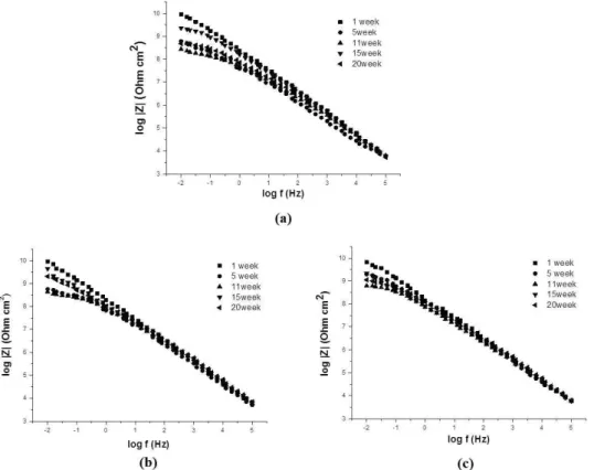 Fig.  8.  EIS  spectra  in  Bode  plot  of  epoxy-coated  carbon  steel  with  immersion  test  in  3.5  wt%  NaCl  solution:  (a)  G-Sa  3  (Steel  grit  blasting  with  Sa  3),  (b)  G-Sa  2.5(Steel  grit  blasting  with  Sa  2.5)  and  (c)  PT  (power  
