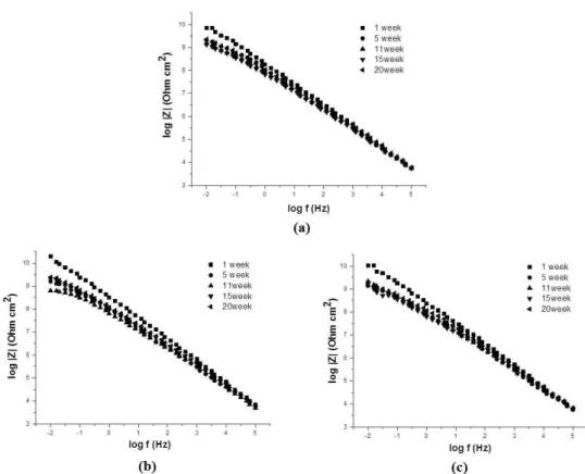 Fig.  9.  EIS  spectra  in  Bode  plot  of  epoxy-coated  carbon  steel  with  immersion  test  in  3.5  wt%  NaCl  solution:  (a)  G-16  (Contaminated  by  NaCl  (16  mg/m 2 )),  (b)  G-48(Contaminated  by  NaCl  (48  mg/m 2 ))  and  (c)  G-96  (Contamina