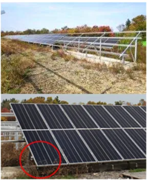 Fig. 6. Real power plant scene.