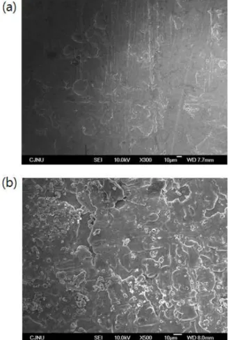 Fig.  2.  The  surface  of  steel  substrate  after/before  coating  ob- ob-served  by  FE-SEM