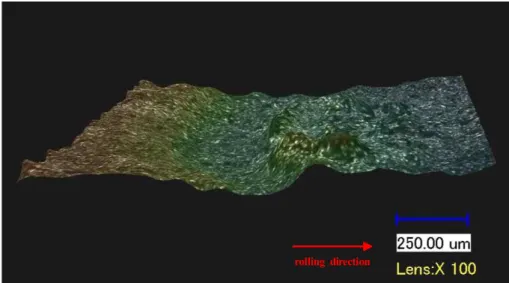 Fig.  6.  Three  dimensional  surface  morphology  of  substrate  after  zinc  coating  been  removed.