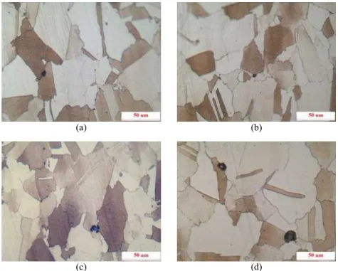 Fig.  8.  Optical  micrographs  on  the  surface  after  potentiostatic  test  (E app   =  +250mV(SCE))  of  SA312  TP316  stainless  steel  in  deaerated  30 o C  1%  NaCl  solution  (Magnification  :  x200)  ;  (a)  E3  Area1,  (b)  E3  Area2,  (c)  E4  