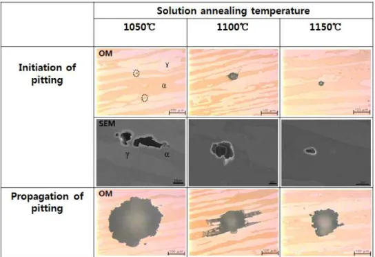 Fig.  5.  The  optical  and  SEM  micrographs  after  the  critical  pitting  temperature  test  in  6  wt.%  FeCl 3   +  1  wt.%  HCl  according  to  ASTM  G  48-method  E.