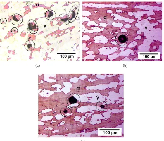 Fig.  6.  Optical  microstructures  after  the  potentiodynamic  anodic  polarization  tests  in  deaerated  4  M  NaCl  solution  at  75  o C  of  the  alloy  annealed  for  2  h  at  (a)  1020  o C,  (b)  1060  o C  and  (c)  1100  o C.