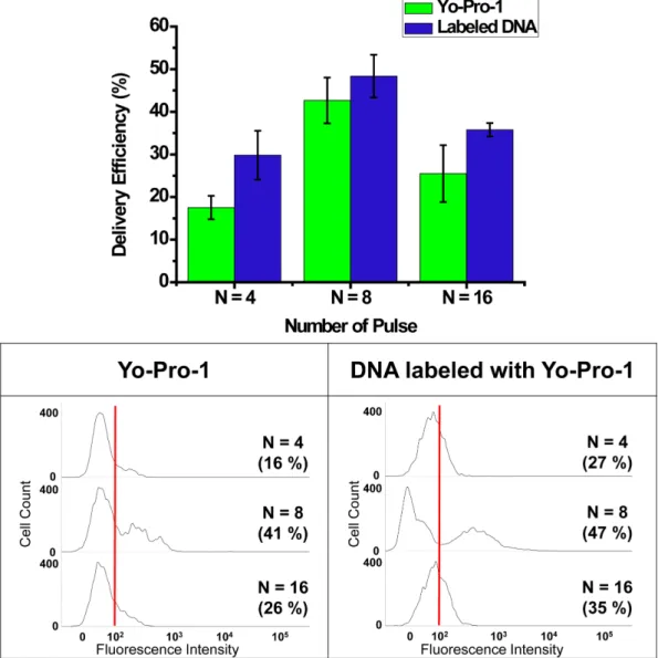 Fig. 5. Comparison of Yo-Pro-1 and Yo-Pro-1 labeled DNA delivery efficiency according to the number of voltage application conditions