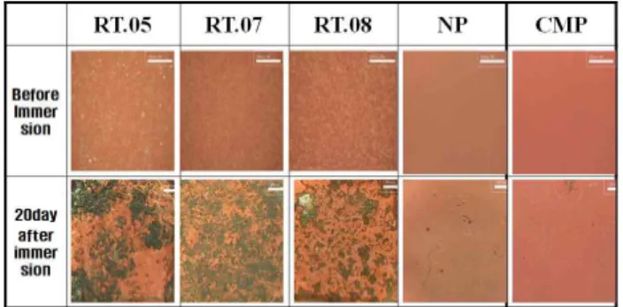 Fig.  8.  Comparison  of  surfaces  morphologies  between  before  immersion  and  after  20days  immersion
