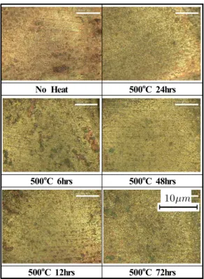 Fig.  10.  Morphologies  of  the  corroded  surfaces  after  drawing  cyclic  voltammogram  curves.