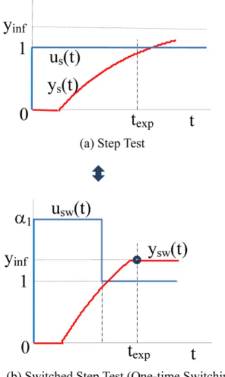 Fig. 1. Step input and output responses.