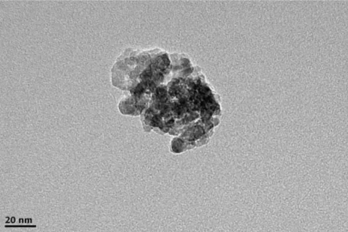 Fig.  4.  TEM  image  of  the  as-received  TiO 2   particles.