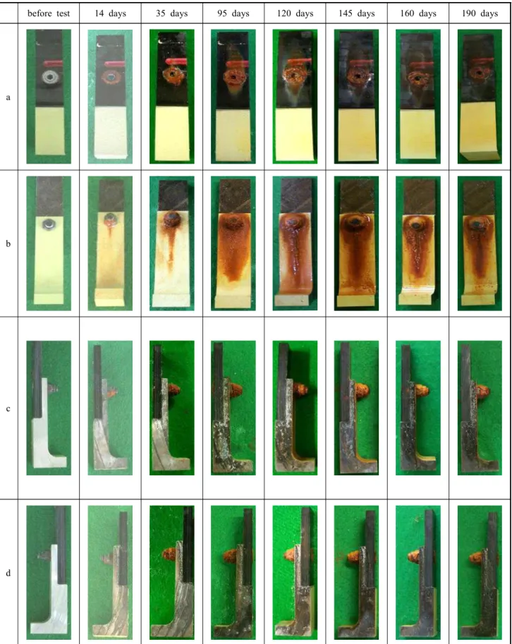 Fig.  1.  Variation  of  surface  appearance  by  immersion  test  duration  in  tap  water  at  room  temperature;  (a)  front,  (b)  rear,  (c)  right,  (d)  left.