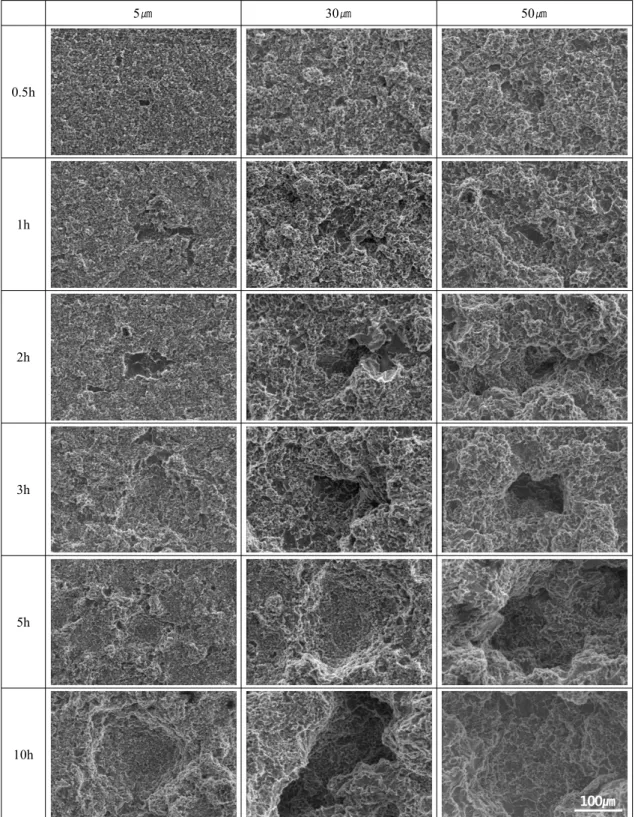 Fig. 3. Comparison of SEM morphologies for 5083-O Al alloy after cavitation experiment with amplitude.