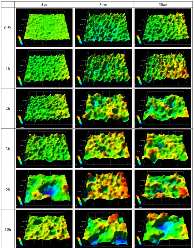 Fig. 5. 3D analysis of 5083-O Al alloy after cavitation experiment with amplitude.