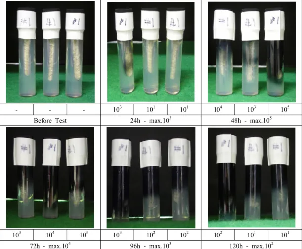 Fig. 11. Typical test result to determine SRB content of the soil in #1 sites at G area.