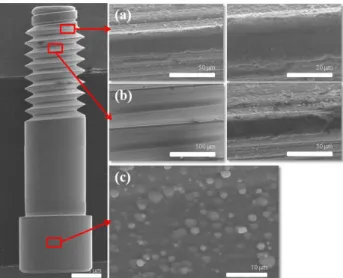 Fig. 2. FE-SEM micrographs showing the TiN coated screw  surface: (a) screw top, (b) screw flank and valley (c) screw head.