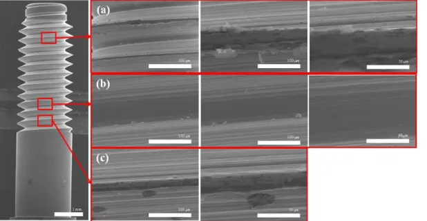 Table 1. Corrosion potential (E corr ), corrosion current density (I corr )  and current density at 300 mV (I 300mV ) of the non-coated, TiN  coated, and ZrN coated abutment screw measured from the  potentiodynamic anodic polarization curves of Fig
