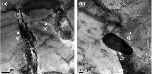Fig. 3 (a) shows martensite phase among ferrite grain  boundaries as shown ⓐ and also shows dislocation around