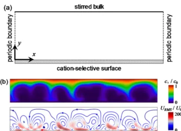Fig. 2. (a) Numerical domain. (b) Numerical results of cation con- con-centration and flow stream lines when applied voltage of potentiostatic mode was 60 V T .