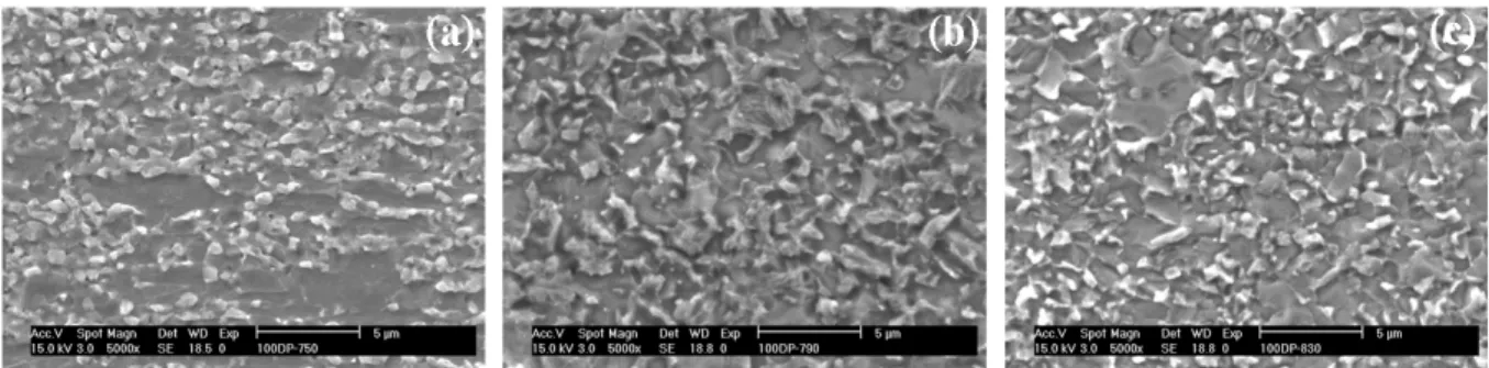 Fig. 3. SEM images according to annealing temperature: (a) 750℃, (b) 790℃, (c) 830℃.