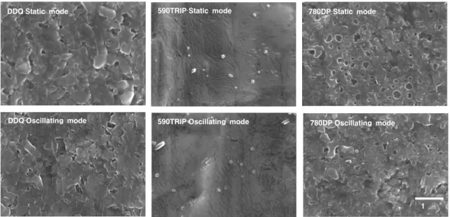Fig. 2. Surface structure of interfacial layer for hot-dip galvanizing for static and dynamic experiments.
