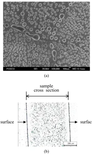 Fig. 4. Oxide formation on the 0.6%Si-0.9%Mn-0.08%P-  0.0005%B steel sheet after annealing in N 2 -5%H 2  with a dew  point of -40 ℃ at 800 ℃