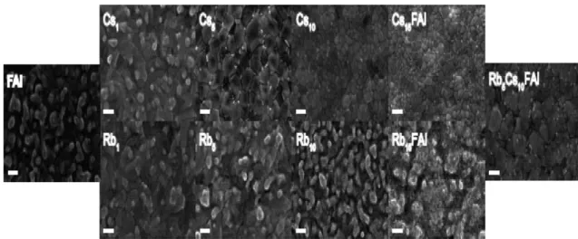 Fig. 5. SEM image of perovskite active layer surface with addition of Cs and Rb [89].