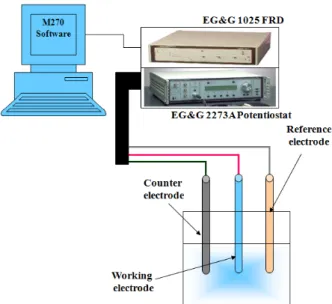 Fig. 2. The experimental diagram for corrosion test.