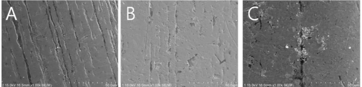 Fig. 4. FE-SEM showing non-coated surface of NiTi wire (rectangular type). 