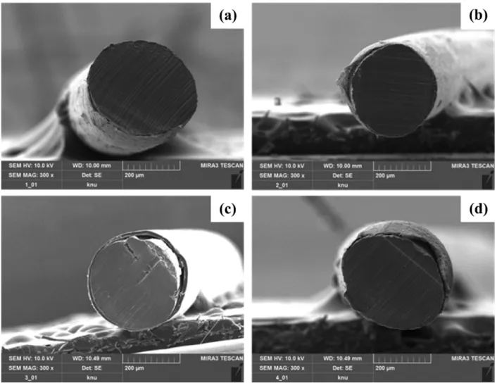 Fig. 7. SEM images of the cross-sections of Mg alloy wires coated with several biodegradable polymers
