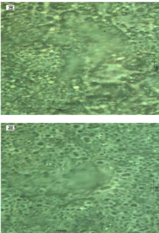 Fig. 2. The change in the product of the total resistivity (R total )  and the anode electrode area with various electrolyte  concentrations
