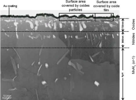 Fig. 1. Overview TEM cross-sectional micrograph of the surface and sub-surface for CMnAl TRIP steel annealed at an intercritical  temperature of 827 ℃ in a 10%H 2 +N 2  gas atmosphere with a dew point of -25 ℃