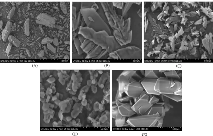 Fig. 3. SEM photomicrographs of nifedipine particles that crystallized from various solvent+antisolvent mixtures