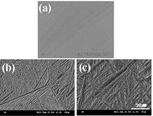 Fig. 1. FE-SEM micrographs showing microstructures of Ti-30Ta-5Zr(a), Ti-30Ta-10Zr(b), and Ti-30Ta-15Zr(c).전해액에서 -1500 mV ～+2000 mV까지 1.66 mV/sec의 주사 속도로 동전위 분극실험(potentiodynamic)을 시행하였고, 100 kHz ～10 mHz 까지 교류 주파수 측정 실험(AC impedance)을 시행하였다