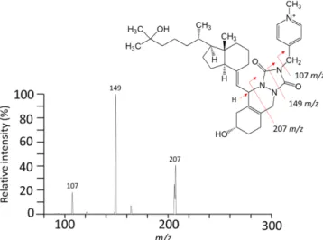 Fig. 2. MALDI-MS spectra of (A) 25-hydroxyvitamin D 2  (25(OH)D 2 ), (B) SecoSET-labeled 25-hydroxyvitamin D 2  (25(OH)D 2 -SecoSET) (C) 25-hydroxyvitamin D 3  (25(OH)D 3 ), (D) SecoSET-labeled 25-hydroxyvitamin D 3  (25(OH)D 3 -SecoSET) with 166 pmol quan