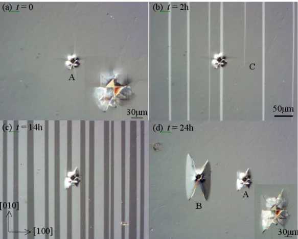Fig. 5.  c-a domain switching on the sample out-of-plane poled along the [001] direction in air with 2% RH under the applied  electric field E = 224 V/mm along the  [ 1 00 ]  direction