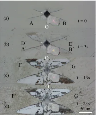 Fig. 10. Indent crack morphologies after immersion for different  times
