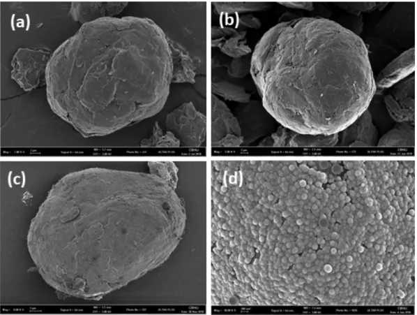 Fig. 5. TGA curves of Graphite/Silicon/Pitch composites.