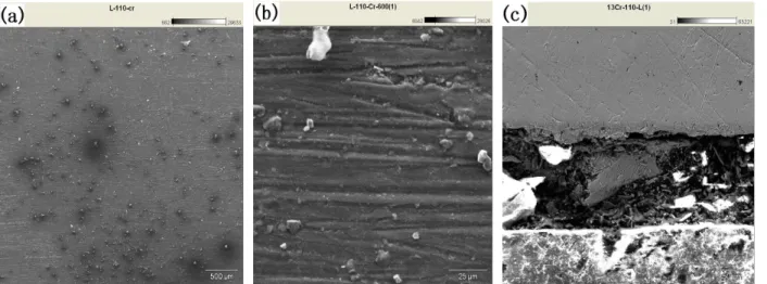 Fig. 1. Morphologies of the surface and the cross-section of the CO 2  corrosion scales on 13 Cr steel at 110℃(a: 25×; b: 