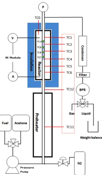 Fig. 1. Schematics of flow reactor.