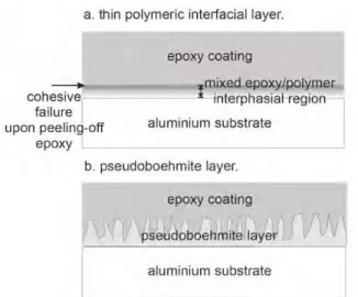 Fig. 15. Schematic of the processes occurring upon exposure  of the epoxy-coated aluminum system to water.