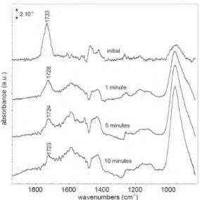 Fig. 6. FTIR-RAS spectra of glycol di-(monomethylsuccinic acid)  ester molecules on the evaporated and oxidised type of aluminum,  after different immersion times in room temperature deionised  water.