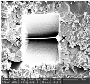 Fig. 11. SEM image obtained during FIB preparation of TEM  cross section slices of theepoxy-coated aluminum system.