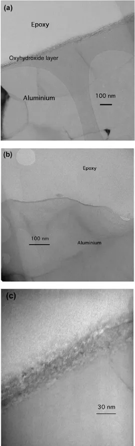 Fig. 13. SEM images of a not-exposed coating (top) and a coating  exposed for 800 hrs to 40℃ water(bottom)