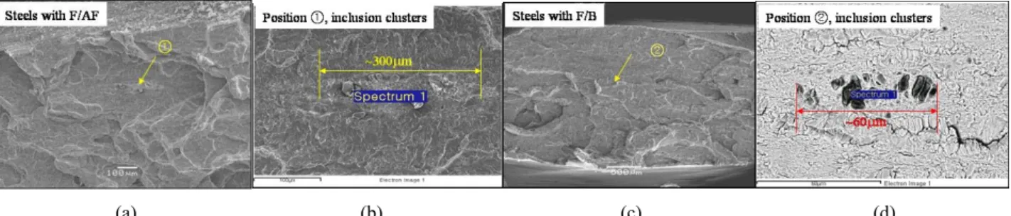 Fig. 6. HIC nucleation sites for the steels produced from Heat S: (a) macroscopic view of fracture surface, (b), (c) crack nucleation  sites (position 1 in (a)), and (d) quasi‐cleavage crack propagation (position 2 in (a)).