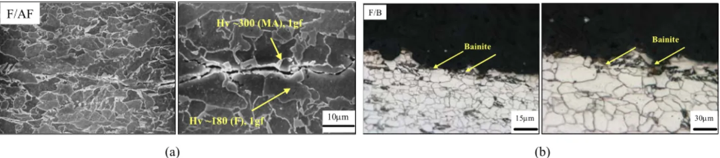 Fig. 7. HIC propagation in steels with (a) ferrite/acicular ferrite and (b) ferrite/bainite.
