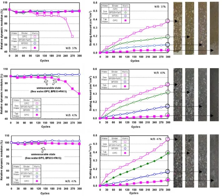 Fig. 3. Relative dynamic modulus Fig. 4. Surface scaling amount