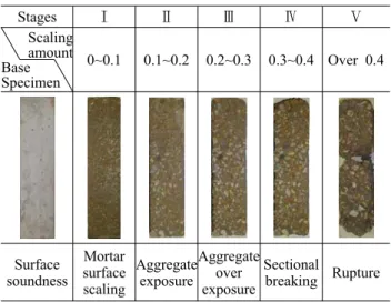 Table 4. the stages of scaling of concrete based on the scaling amount (cm 3 /cm 2 ) Stages Ⅰ Ⅱ Ⅲ Ⅳ Ⅴ Scaling  amount Base Specimen 0~0.1 0.1~0.2 0.2~0.3 0.3~0.4 Over 0.4 Surface soundness Mortar surface scaling Aggregateexposure Aggregateoverexposure Sect