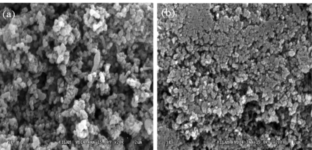 Fig. 11. SEM images of separated MgO after absorbable resin (Ca(R-SO 3 ) 2 (s)) - CaO·MgO : R-SO 3 H (1:12 mass %) - (a) DS, (b) SB.